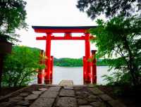 溫泉雲海大冒險！