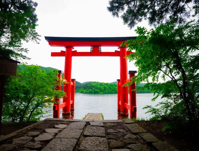 溫泉雲海大冒險！
