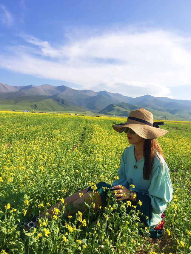 青海湖油菜花旅遊攻略｜邂逅金黃花海
