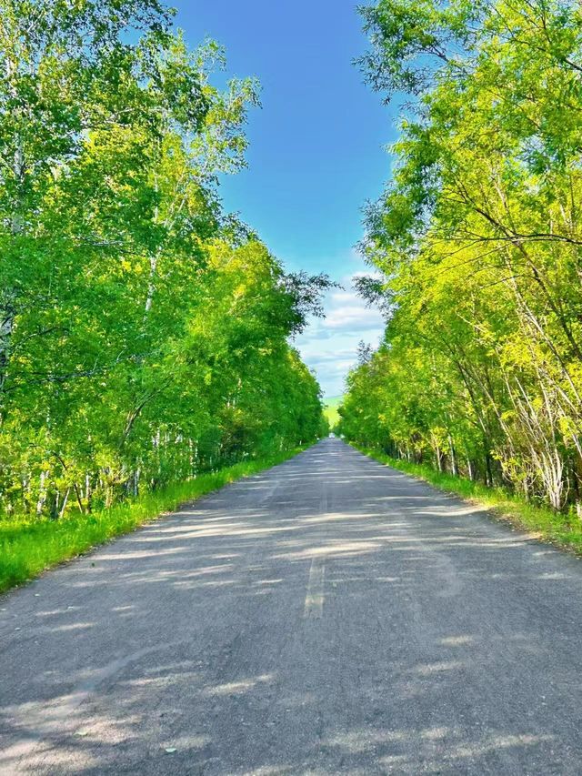 呼倫貝爾｜6天5晚越野車草原撒歡
