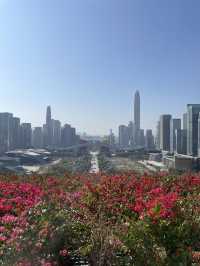 Drone Delivery In The Park, Experience The Future In Shenzhen. It’s Amazing 