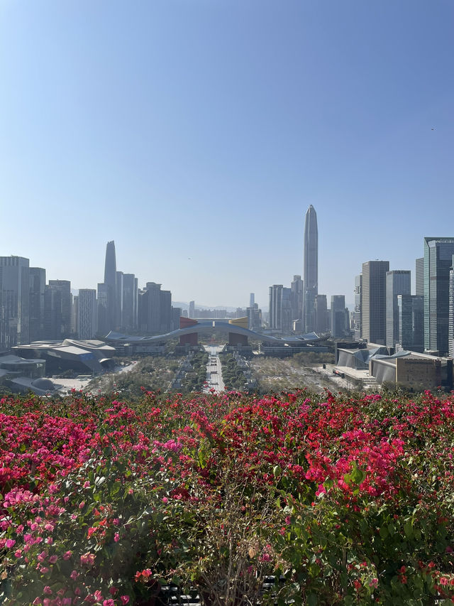 Drone Delivery In The Park, Experience The Future In Shenzhen. It’s Amazing 
