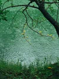 可惜你不來江南，不知道江南煙雨有多浪漫