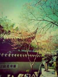 蘇州秘境｜穹窿山寧邦寺：尋一份禪意與山野的約定】**