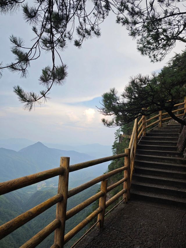 宜春明月山｜硒泉煮月溫禪骨 雲梯漫步叩天扉