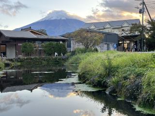 一日飽覽富士山：河口湖・忍野八海・根場村完整行程建議