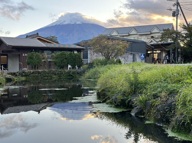 一日飽覽富士山：河口湖・忍野八海・根場村完整行程建議