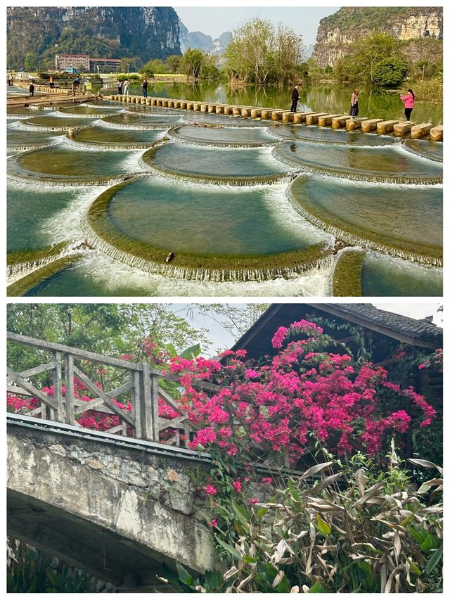 啱啱從廣西明仕田園返嚟，講啲難聽嘅大實話