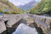 登頂黃山保姆級攻略｜奇松雲海全打包