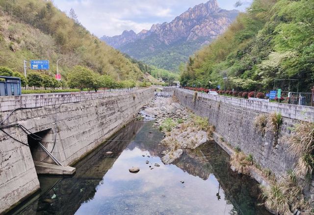 登頂黃山保姆級攻略｜奇松雲海全打包