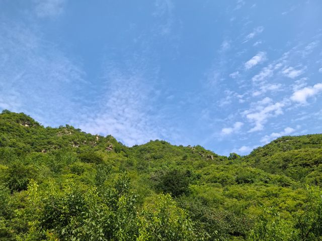 紅林村尋古——黃寶峪古廟遺址
