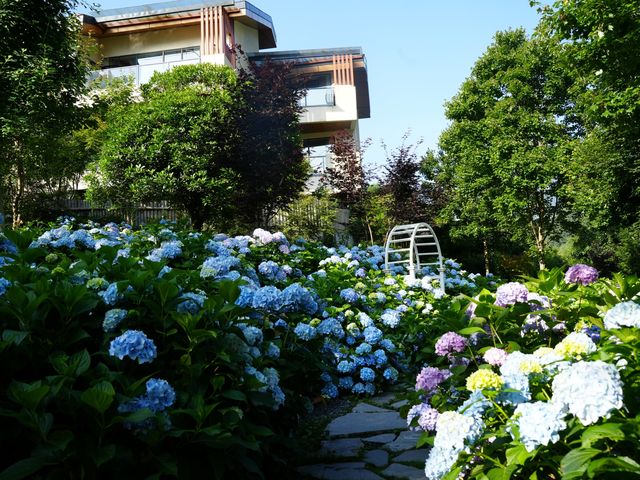 山間秘境，盛夏浪漫