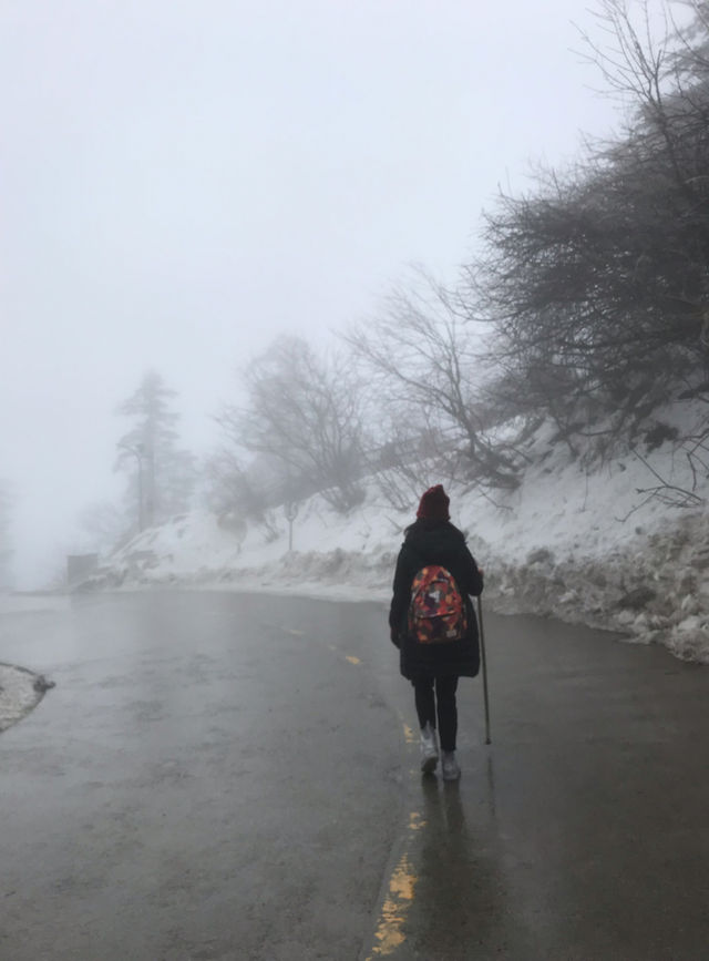 人生一定要去多次峨眉山！