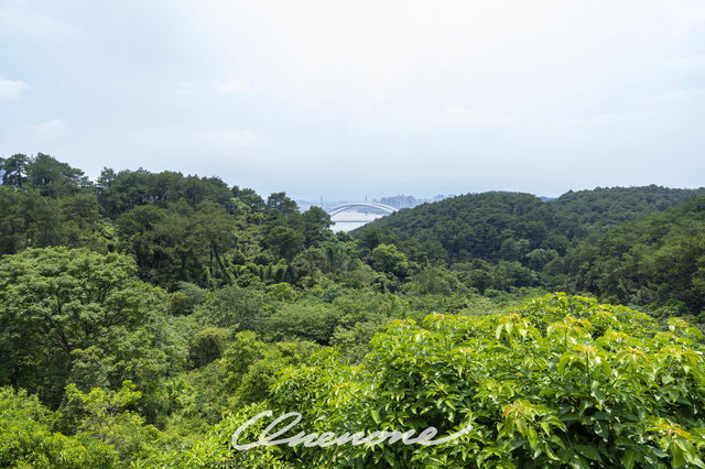 南寧青秀山攻略（2025年夏季版）