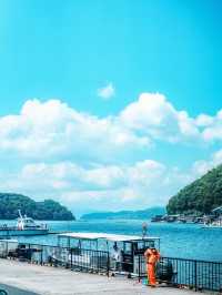 伊根灣絕美海景