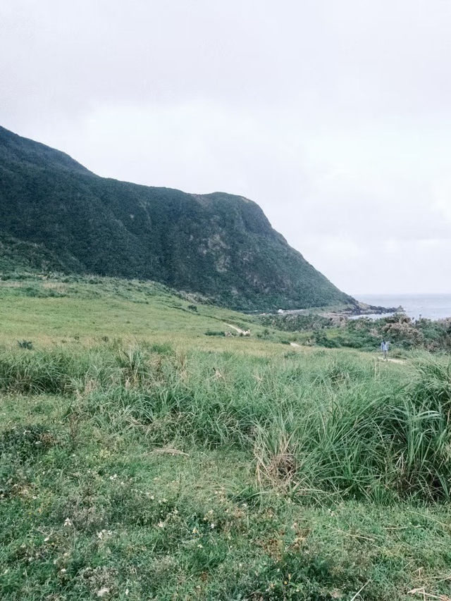 島嶼之眼,青青草原的風中遙望 島嶼之眼,青青草原的風中遙望