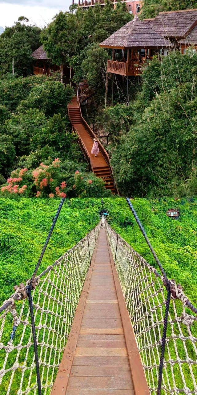 雨林仙境!亞龍灣森林公園2025超全遊玩指南 雨林仙境!亞龍灣森林公園2025超全遊玩指南