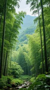 歡迎觀光紅色旅遊聖地一一遵義