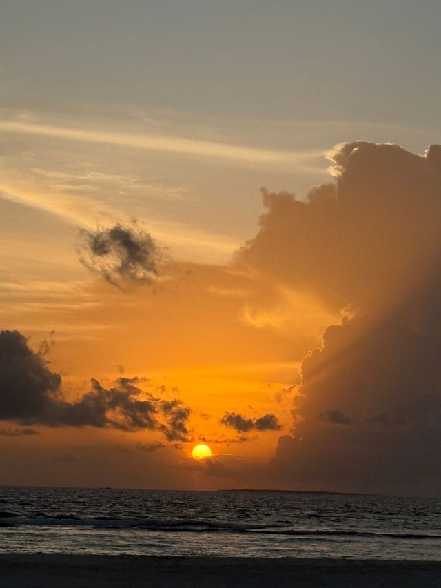 Island Paradise Awaits