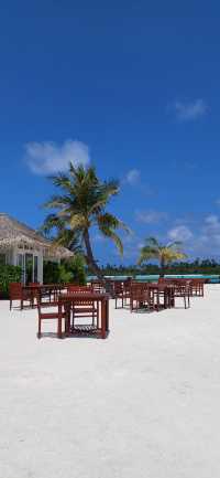 Paradise on Earth: Sun, Sea, and Luxury