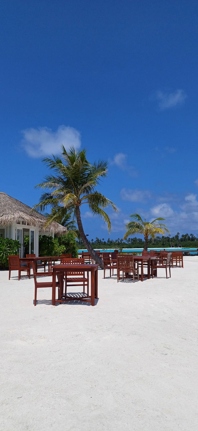 Paradise on Earth: Sun, Sea, and Luxury