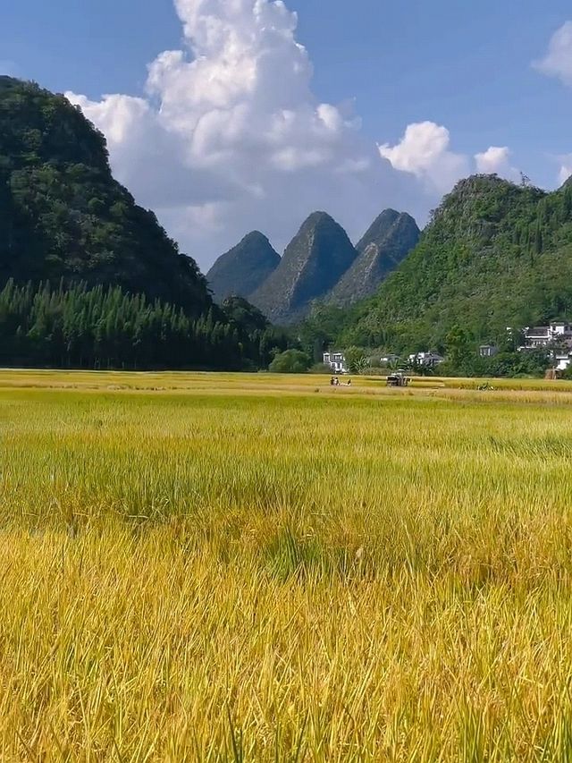 貴州絕美秋日小城!萬峰林親子旅行天花板,寶媽閉眼衝! 貴州絕美秋日小城!萬峰林親子旅行天花板,寶媽閉眼衝!
