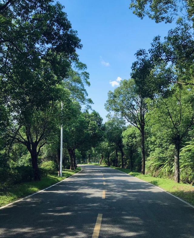 隱於都市的綠野仙蹤，全家週末治癒之旅