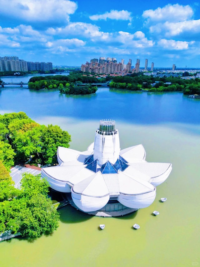 上海周邊看海計劃！平湖這個寶藏小城，週末遛娃太香了！