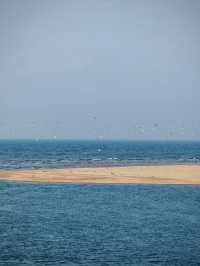看鳥賞海感受大自然治癒  