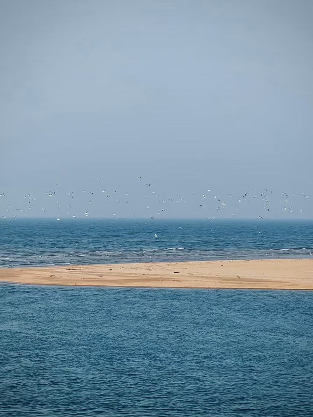 看鳥賞海感受大自然治癒  