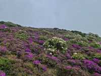 滇東秘境!曲靖深秋隱藏玩法上線,山水文化一鍵全含!