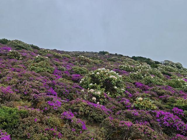 滇東秘境!曲靖深秋隱藏玩法上線,山水文化一鍵全含! 滇東秘境!曲靖深秋隱藏玩法上線,山水文化一鍵全含!