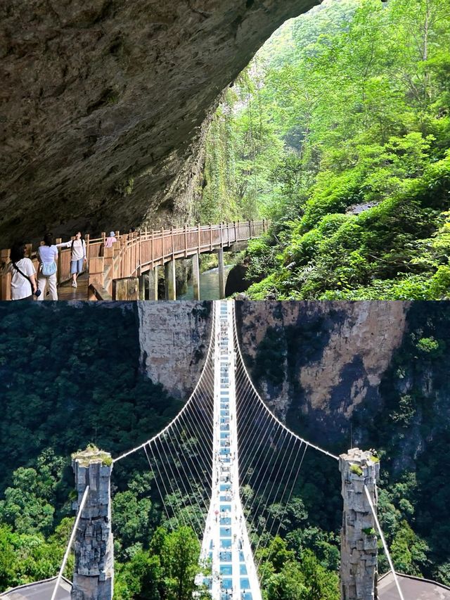 藏在深山裡的藍眼淚