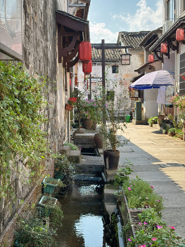 漫步梅渚｜邂逅新昌古村的煙火與詩意