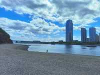 凌水灣公園：大連藏在城芯的親海秘境，免費解鎖N種浪漫玩法