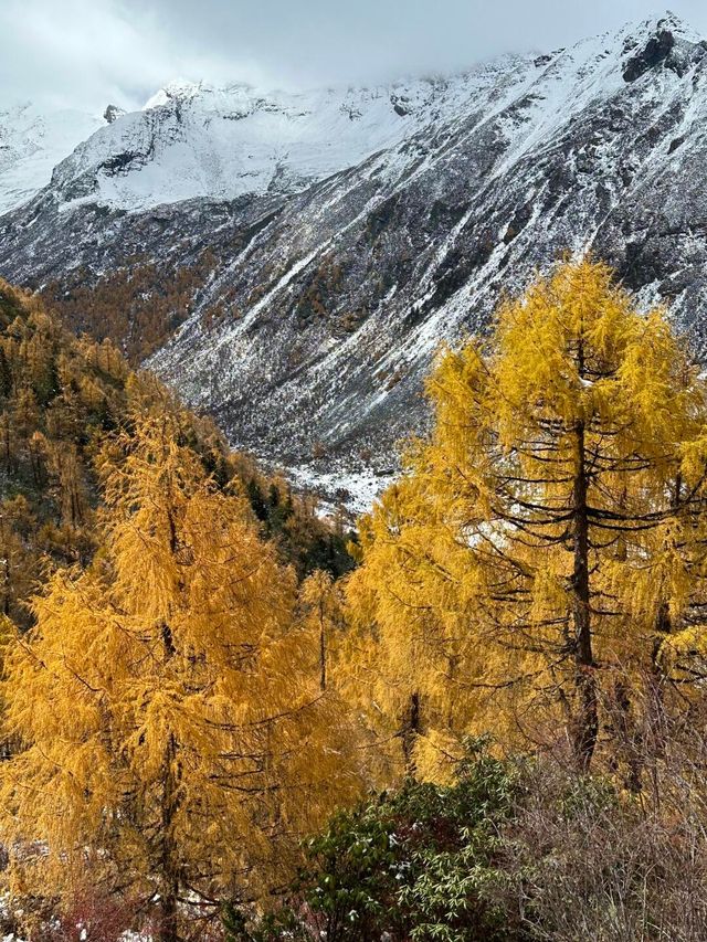 川西秘境：瑪嘉溝10月進階賞秋登頂指南