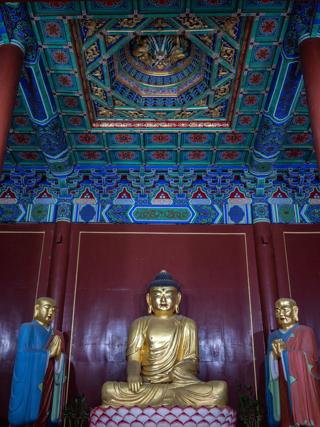 如果只拍白塔,沒必要花20進白塔寺 如果只拍白塔,沒必要花20進白塔寺