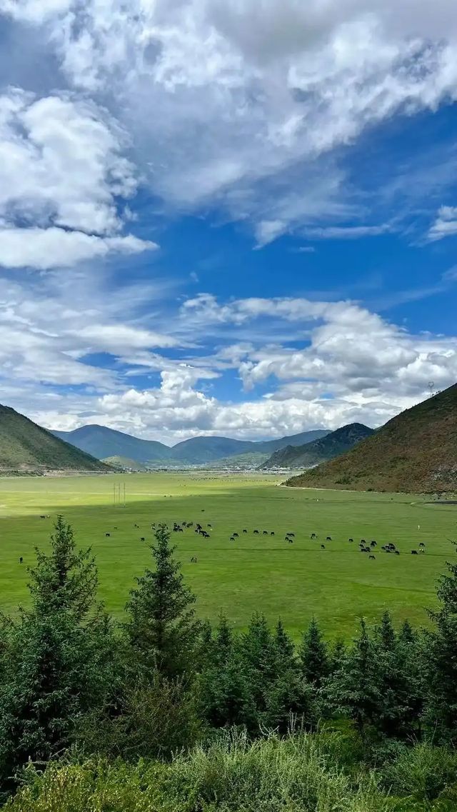 麗江十月慢時光：竹逸軒裡藏古韻