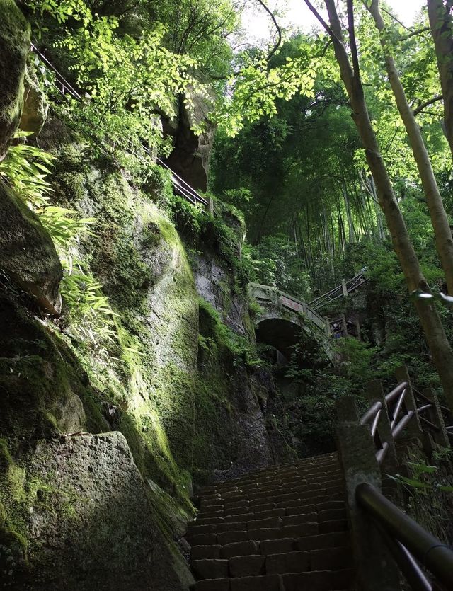 重走蔣公道｜把莫干山的秋裝進徒步裡