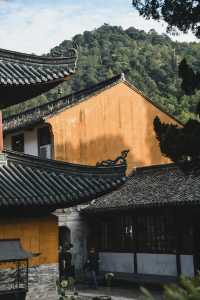 秋風微涼，稻穀滿倉：記第四次去國清寺