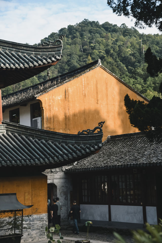 秋風微涼，稻穀滿倉：記第四次去國清寺