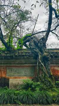 隋代古剎，禪意悠然，一場洗滌心靈的修行