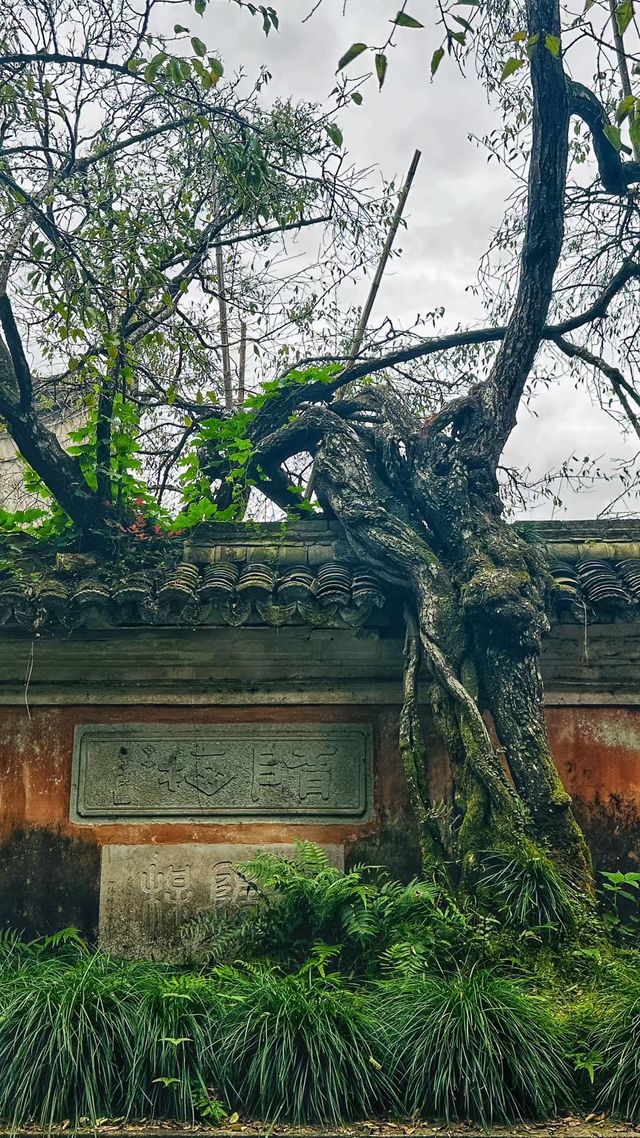 隋代古剎，禪意悠然，一場洗滌心靈的修行