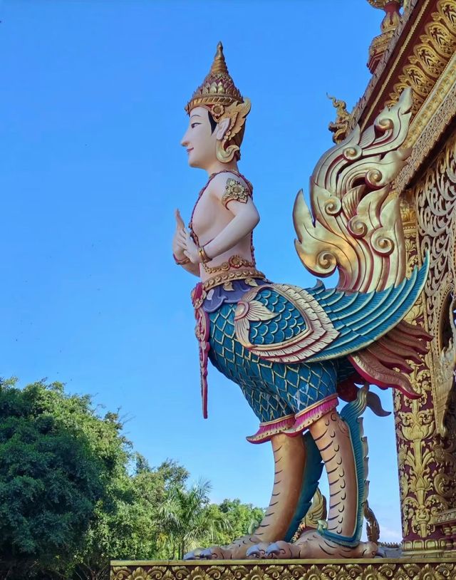 西雙版納秘境探訪