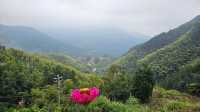 秘境松陽陳家鋪村雲霧打卡點