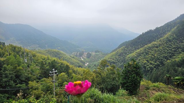 秘境松陽陳家鋪村雲霧打卡點 秘境松陽陳家鋪村雲霧打卡點