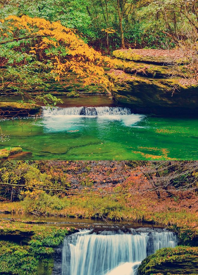 這個季節的黎坪簡直就是童話世界