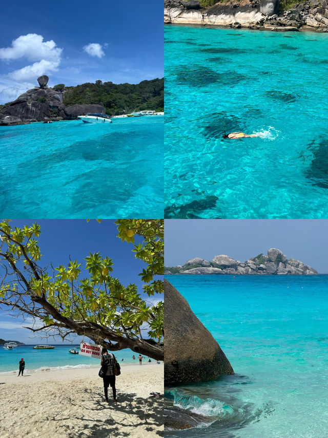 不愧是泰國海島天花板斯米蘭，超值得去！