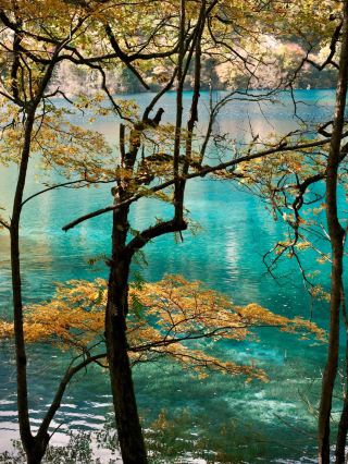 11월의 구채구｜가을의 압권 대작