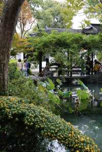 江南秋色藏留園讓人忍不住愛了又愛!